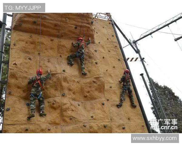 攀岩心理素质实力榜单权威发布揭示顶尖选手心理优势与挑战