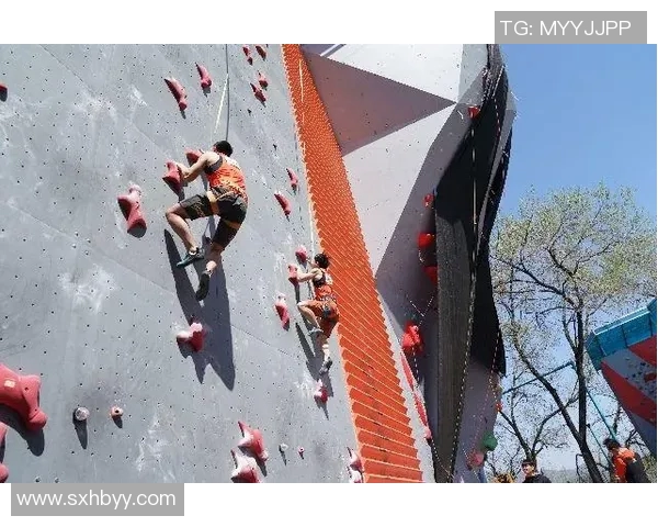 杭州攀岩队引领最新攀岩团队协作十强榜单全景解析