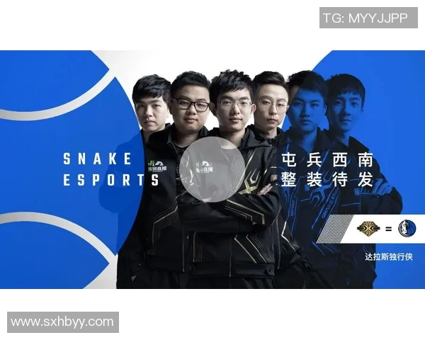 英雄联盟专题分析V5战队团队协作的成功秘诀与战术配合